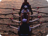 MBA_2043